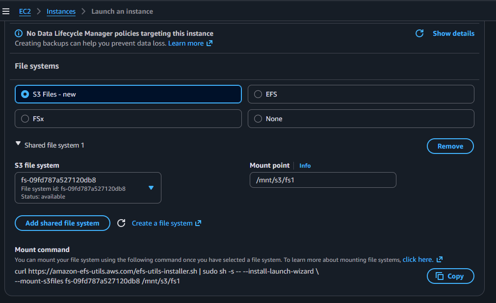 The launch wizard showing the attached S3 file system, the mount point, and the generated install-and-mount command