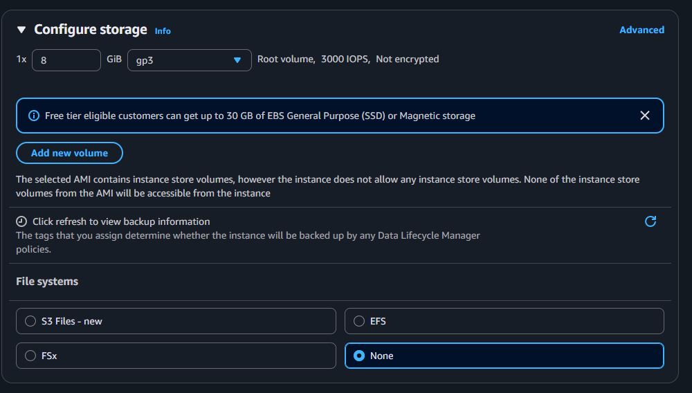 EC2 configure storage step showing an 8 GiB gp3 root volume and the File systems panel set to None