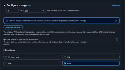 EC2 Storage in Plain English: Root Volumes vs File Systems