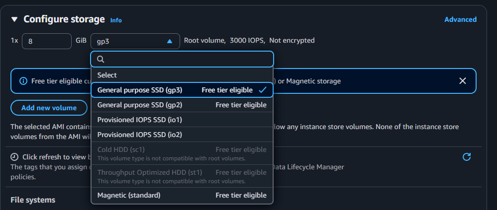 The EC2 root volume type dropdown listing gp3, gp2, io1, io2, sc1, st1 and Magnetic options