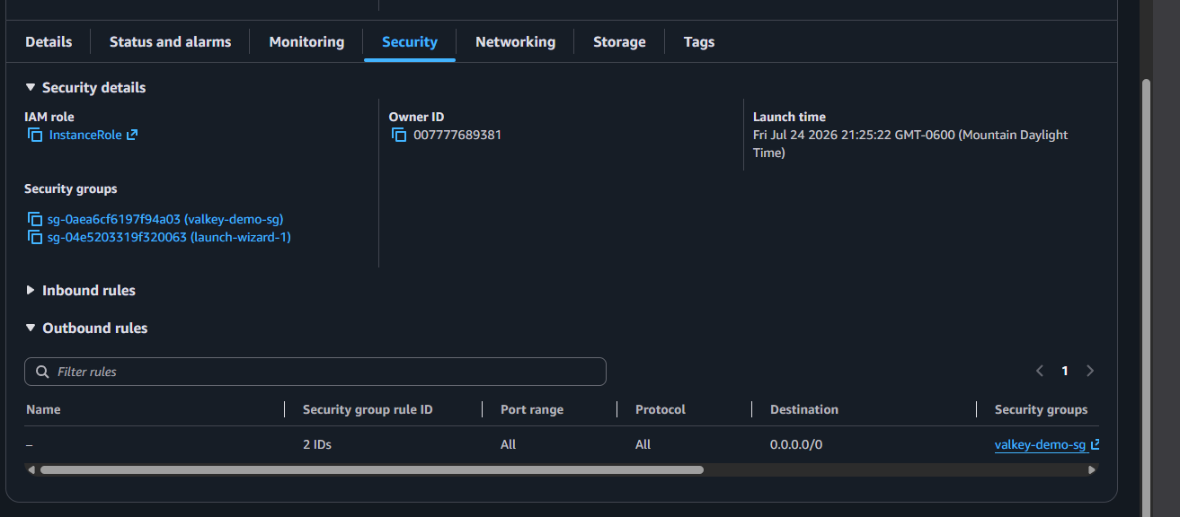 EC2 instance security tab showing both valkey-demo-sg and the launch-wizard security group attached