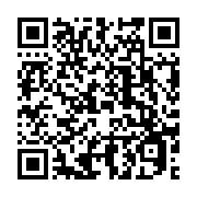 QR Code linking to: Nginx Log Analysis: From grep to a Go Log Parser